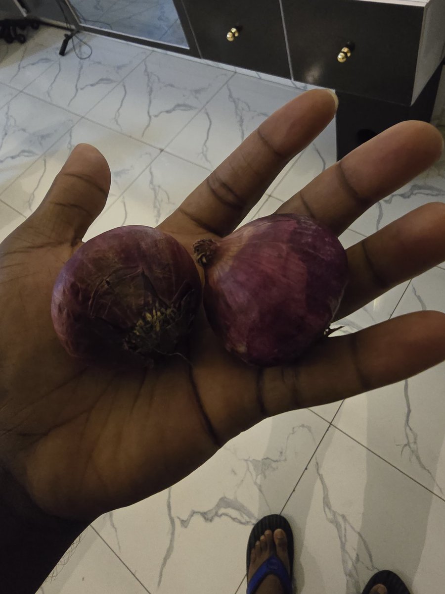 Ellyskillz's tweet photo. Let's play a game.. can you guess how much I just bought this onions #portharcourt #tpain my chest hurts right now like this, I dey fear to use am cook indomie I plan https://t.co/R5WqaFljJy