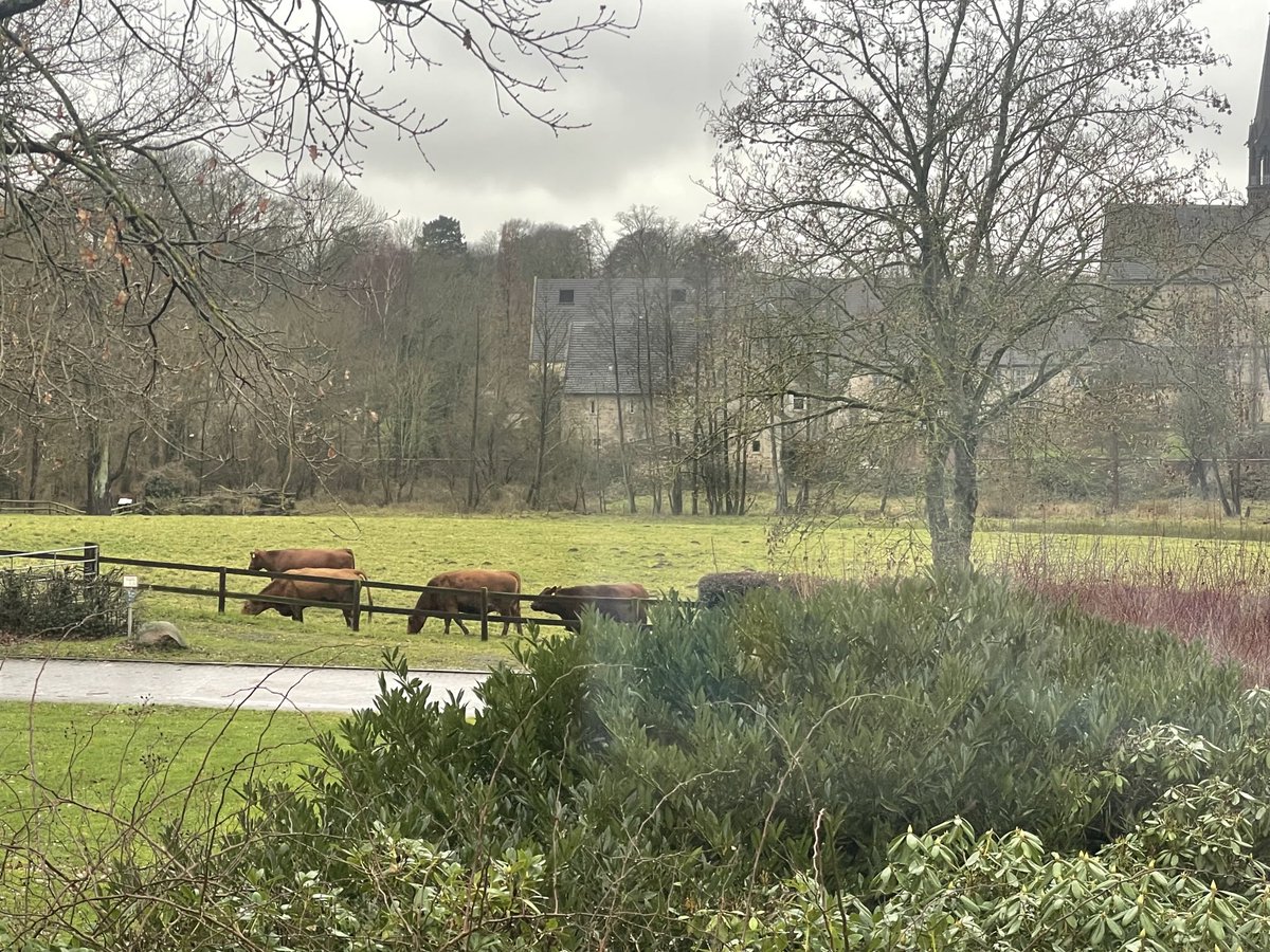 Melinda Haring tweet media