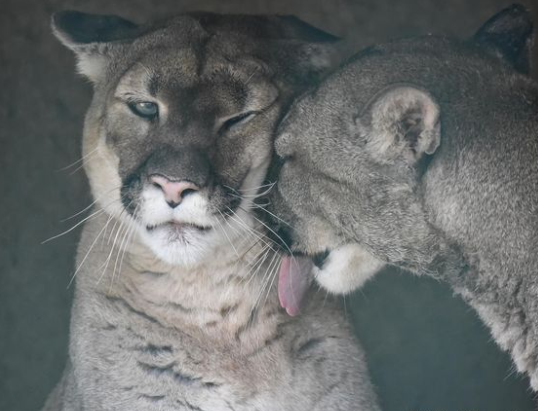 ✞ 🗝️ (@hakaelll) on Twitter photo 