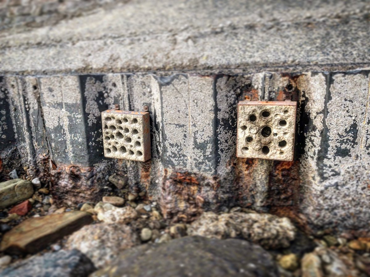 Artecology tweet media