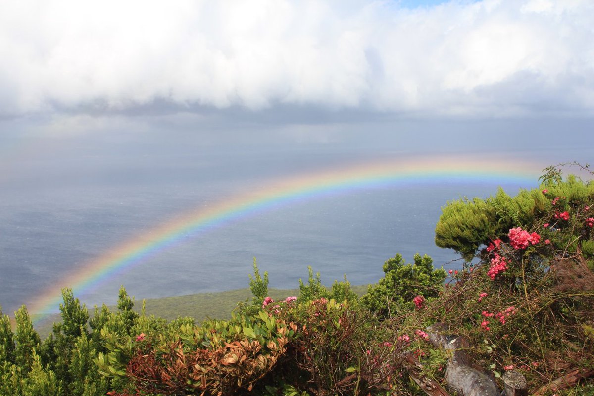 Bye bye, time to leave this platform. X has become anti-science, allows too much hate + conspiracies + contributes to polarization. So I'm ending my activities here. I look forward to seeing you on other channels. Find me on LinkedIn