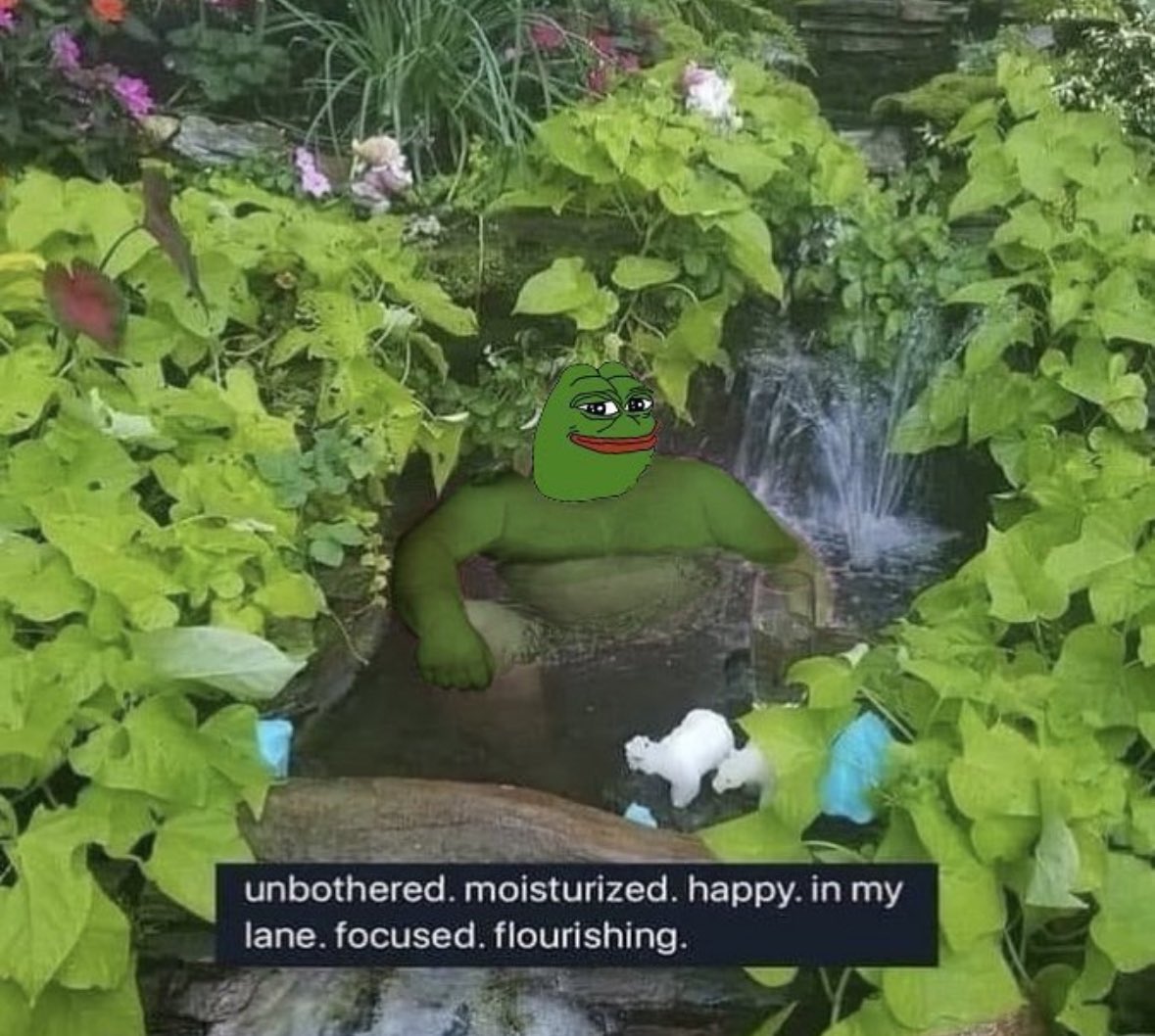 Market dumping while $pepe makes new highs. 

It’s not too late to swap everything for the frog.