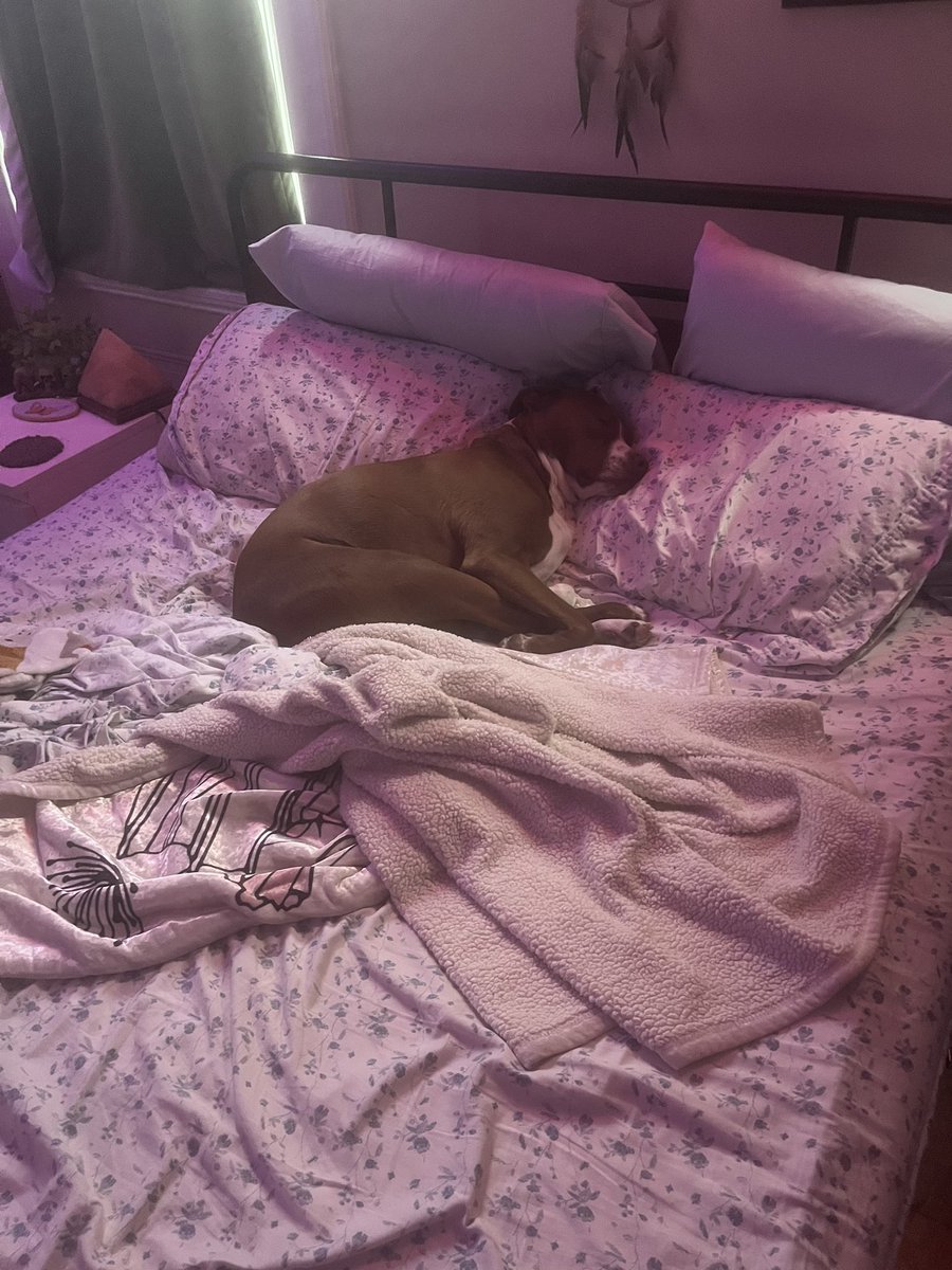 alvinyakitory_'s tweet photo. simon is still recovering from the final eras tour stream https://t.co/XDHj1gOcZ3