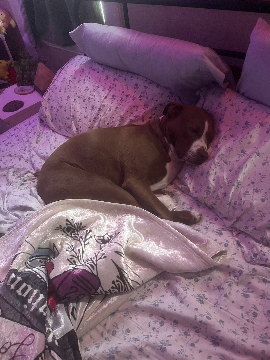alvinyakitory_'s tweet photo. simon is still recovering from the final eras tour stream https://t.co/XDHj1gOcZ3