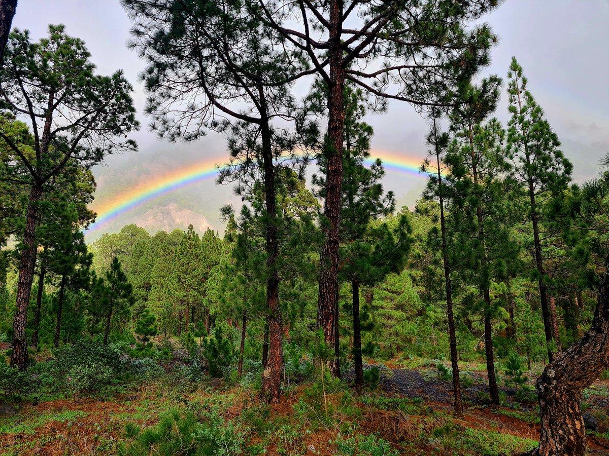 efadi_LP's tweet photo. #LaPalma rainbow Island. https://t.co/dvuqefyXu8