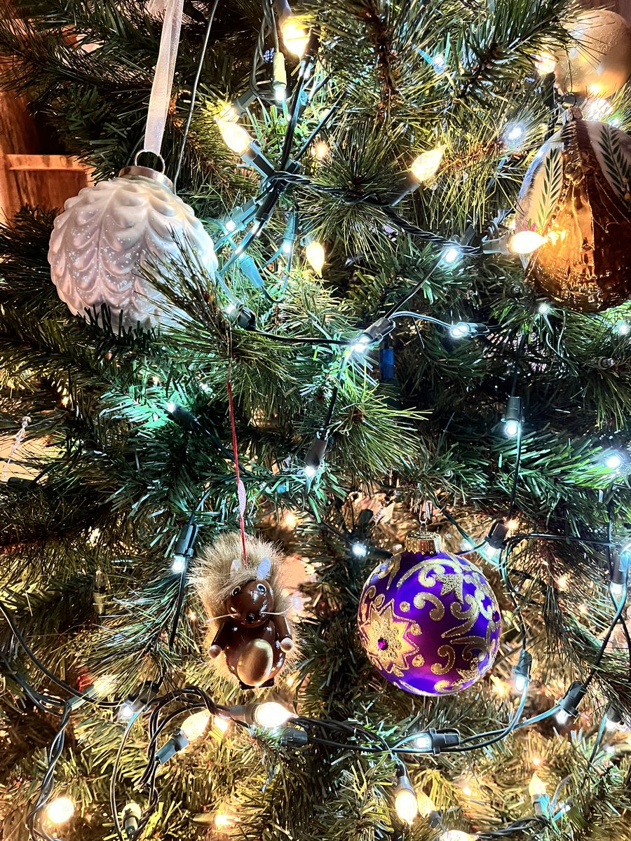 DCSC Inc. tweet media