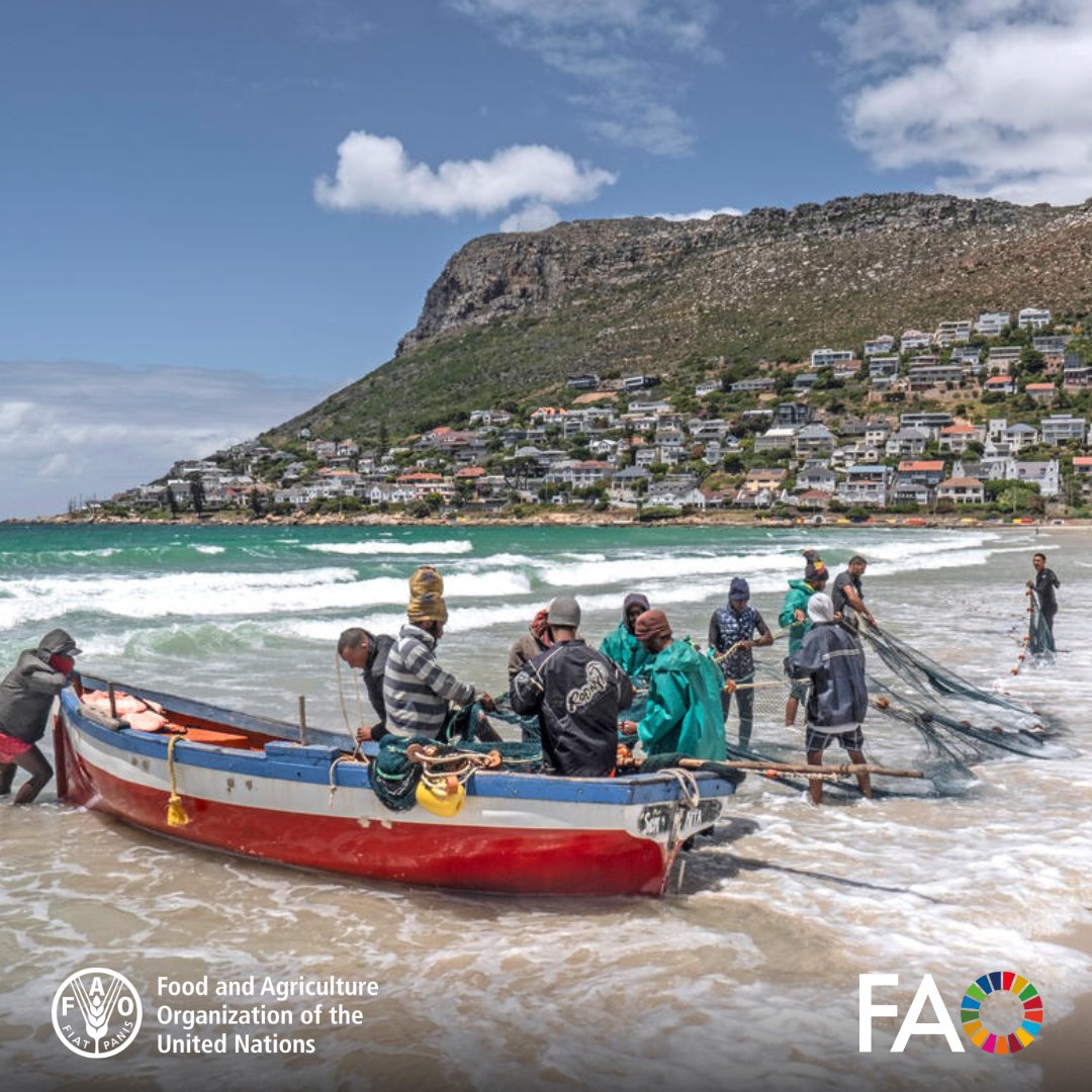 🌍 <a href="/FAO/">Food and Agriculture Organization</a> SouthAfrica's collaboration with &amp; #AGRIS is transforming agricultural knowledge-sharing! 

📊Thanks to new data providers joining, research records from #SouthAfrica🇿🇦 have surged from 22K to 61K in 2024.

🌱Explore more: fao.org/agris/news/col…