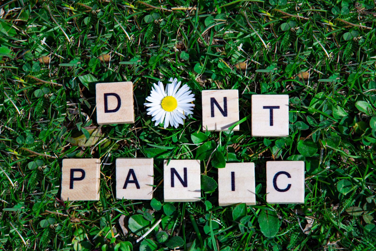 Mslexia ✨ (@mslexia) on Twitter photo If you're struggling to enter our Poetry Competition tonight – don't panic!
Just email us at postbag@mslexia.co.uk and we'll get on when we're back in the office tomorrow 💚 If you're struggling to enter our Poetry Competition tonight – don't panic!
Just email us at postbag@mslexia.co.uk and we'll get on when we're back in the office tomorrow 💚