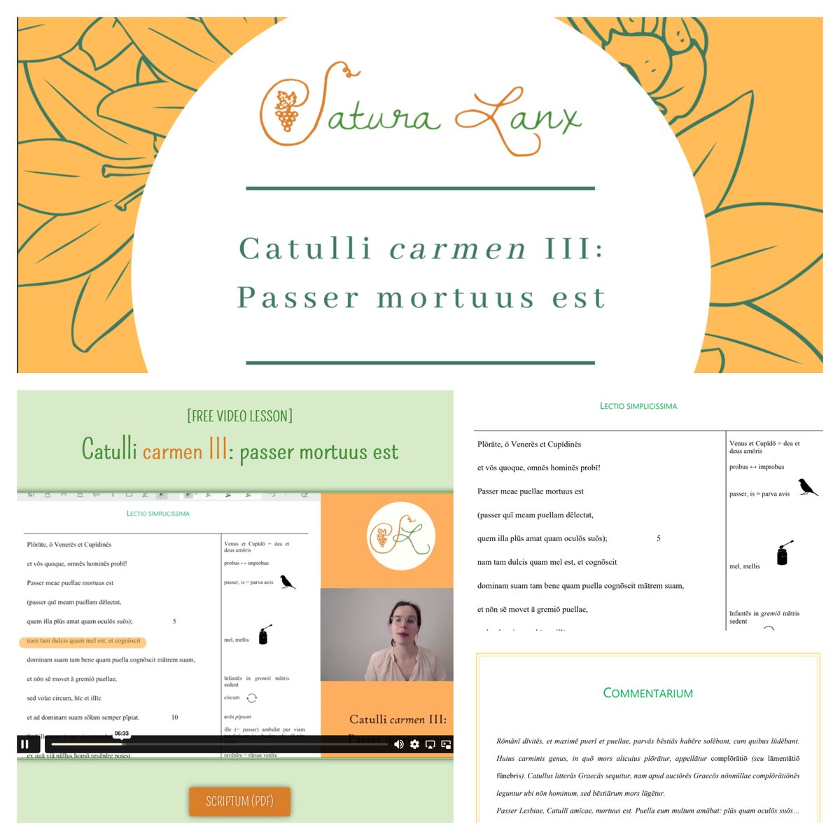 YossiUK's tweet image. Really been enjoying the free lesson from @SaturaLanx_Lat. A beautifully presented tiered reading of one of Catullus&apos; poems in easy Latin, simple Latin &amp;amp; finally the original poem with commentary, plus a fantastic video lesson. Amazingly good learning resource! #LearningLatin