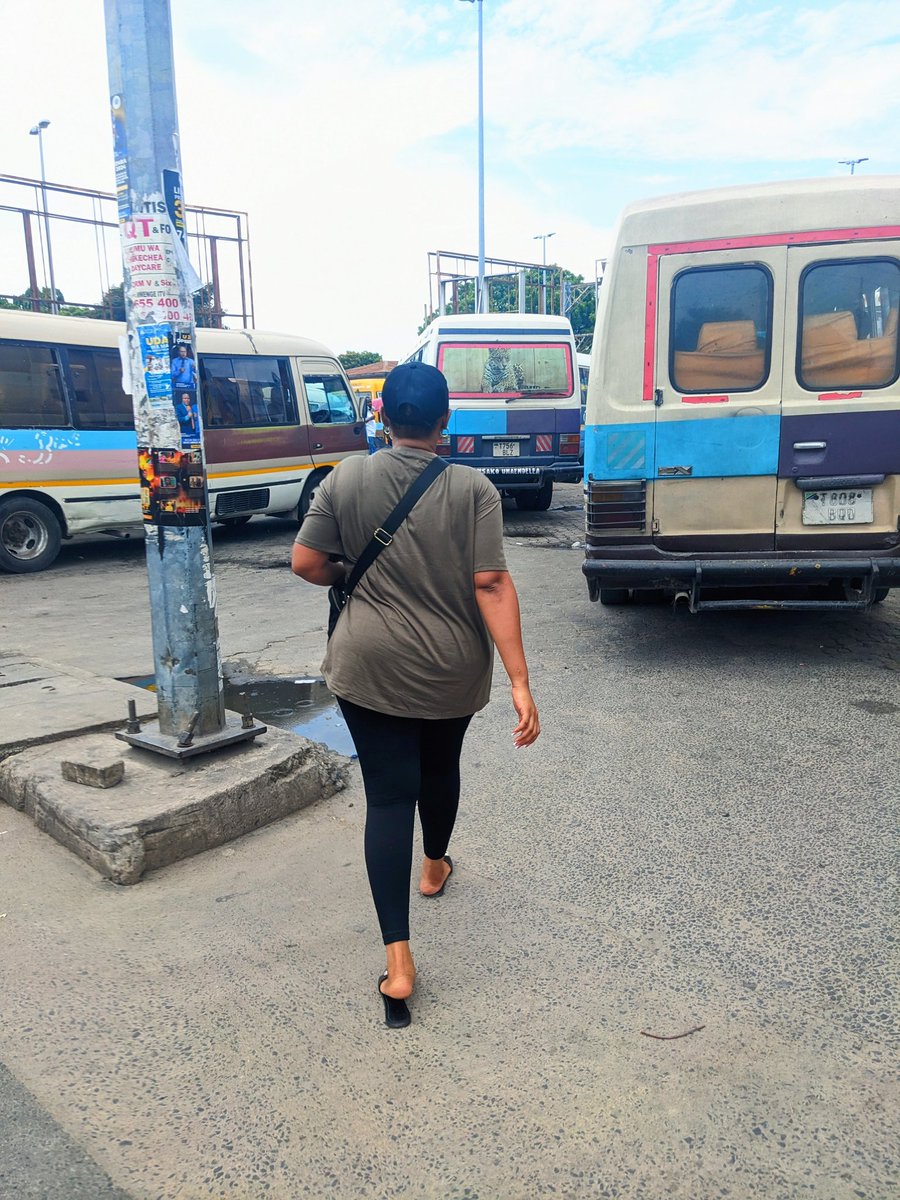 Dume O'Reilly 🩵 tweet media