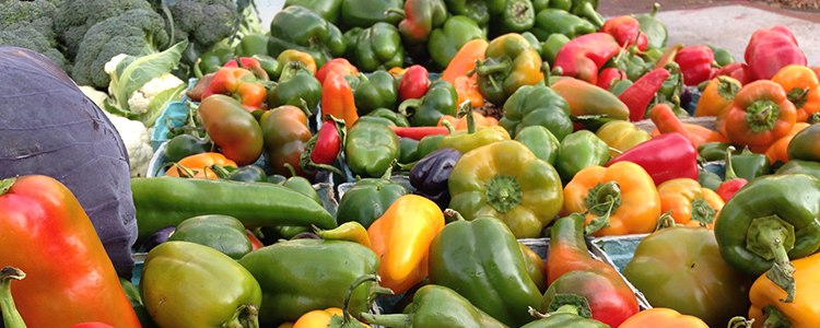 usdaRMA's tweet photo. Specialty and small-scale producers can now find a local crop insurance agent who has experience selling Whole-Farm Revenue Protection (WFRP) and Micro Farm policies with a new searchable directory. chrome-extension://efaidnbmnnnibpcajpcglclefindmkaj/https://t.co/jvni9a6Ca2 https://t.co/TRoehJ0ApO