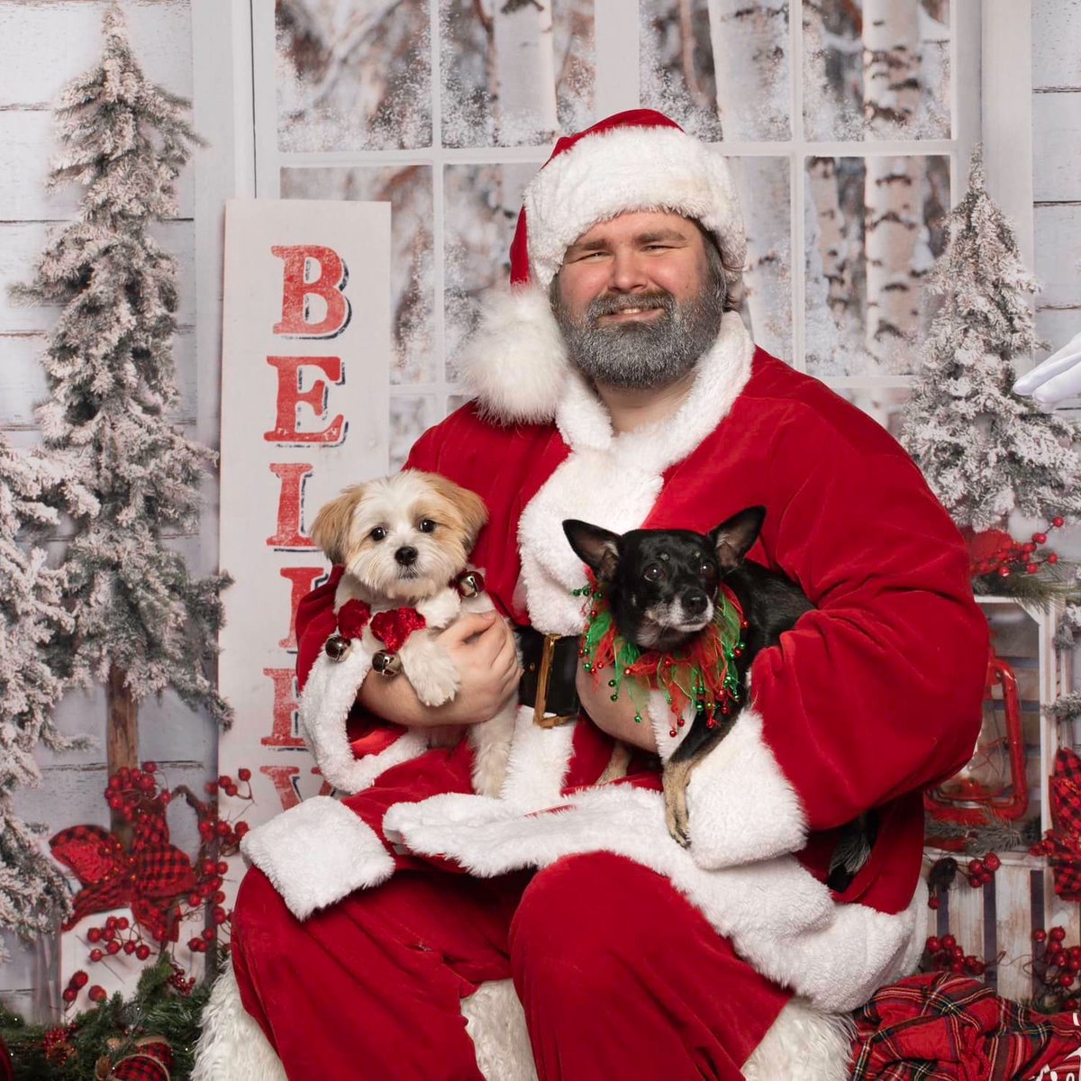 BoosIcehouse's tweet photo. This Sunday is our Holiday Party! 
🎁 Photos w/ Santa Paws
🛍️ Great local vendors
🎁 Live Music with Derek McBryde

https://t.co/bznrr1HAF2
#boosdogbar
#SantaPaws #dogbar #thingstodosarasota #sarasota #dogchristmas #dogparty https://t.co/g5RqzZ9ums