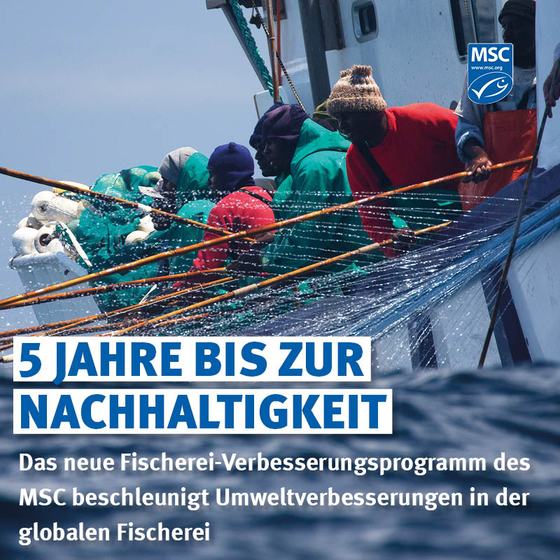 🐟🇿🇦 Meilenstein erreicht: Südafrikanische #Fischerei auf Weißen Thunfisch erhält MSC-Zertifizierung!

Nach fünf Jahren intensiver Bemühungen und enger Zusammenarbeit hat die südafrikanische Angelruten-Thunfischfischerei die MSC-Zertifizierung erlangt – ein beeindruckender Erfolg