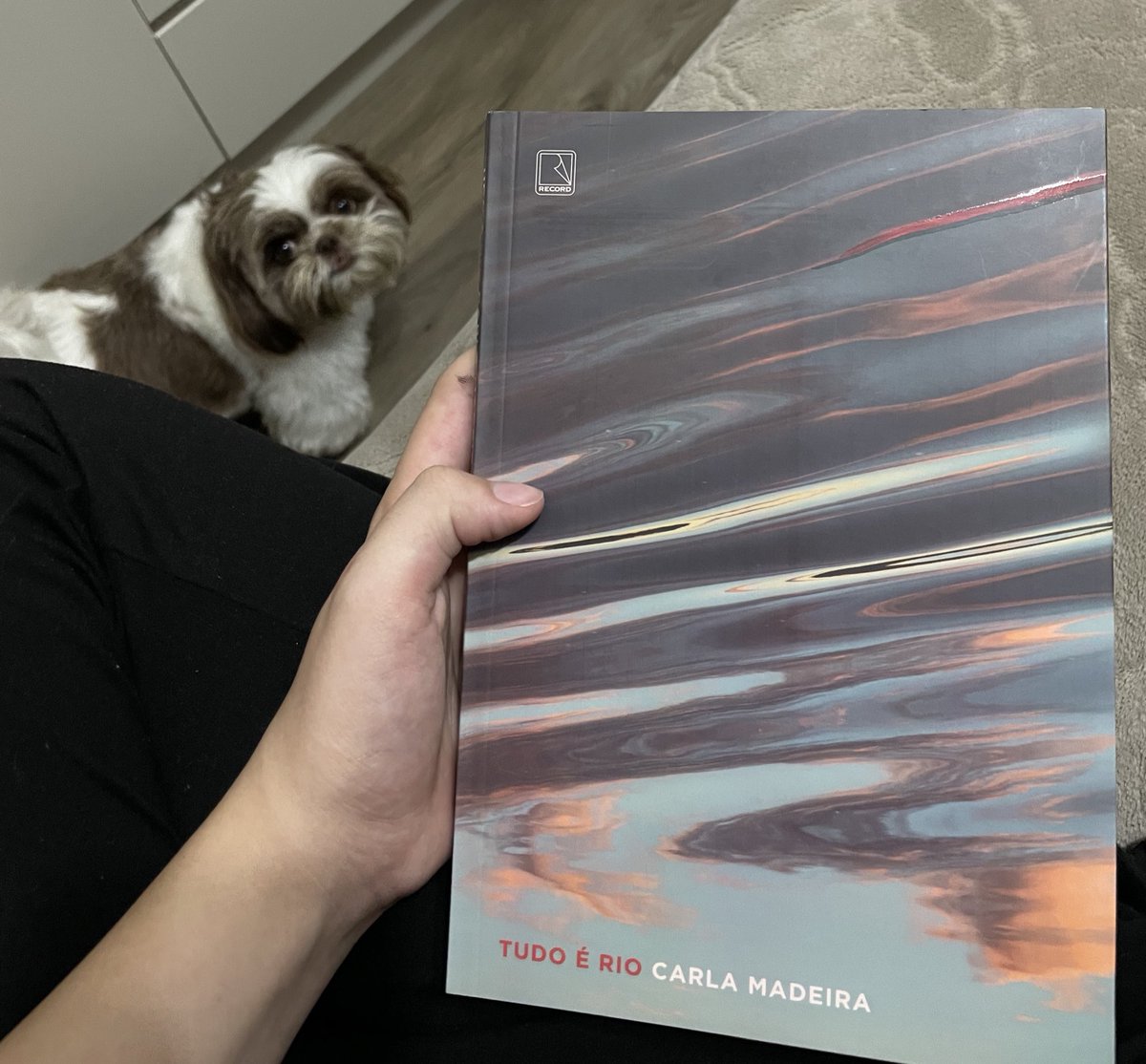 archstudys's tweet image. lendo este aqui que meu namo me deu de presente 🤩🤩🤩🤩