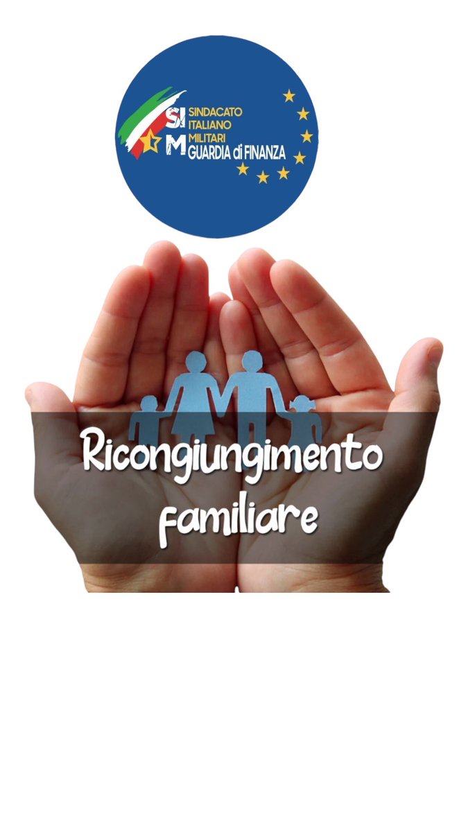 SIM Guardia di Finanza tweet media