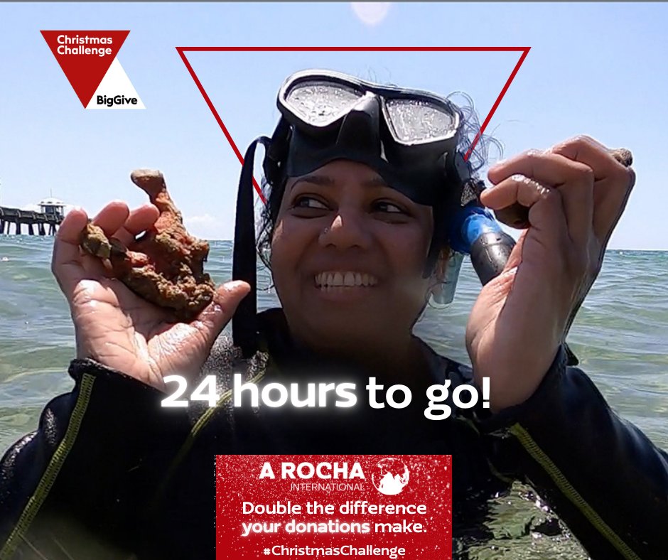 Less than 24 hours to go until the Big Give Christmas Challenge officially closes, so we still have some time to meet our target.

Remember that any donation you make will be DOUBLE so anything small can help push us to the finish line. To donate, go to bit.ly/ARochaChristma…