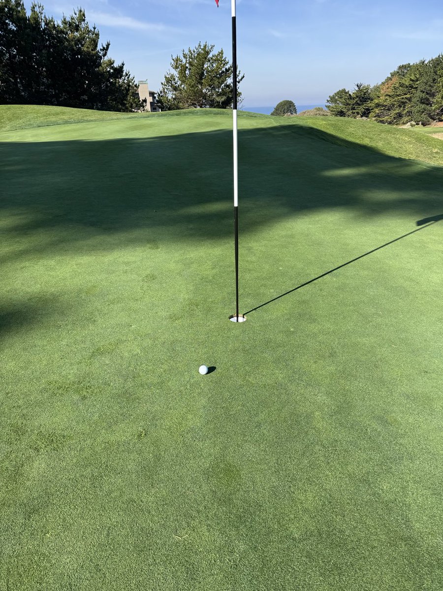 glorifieddonkey tweet media