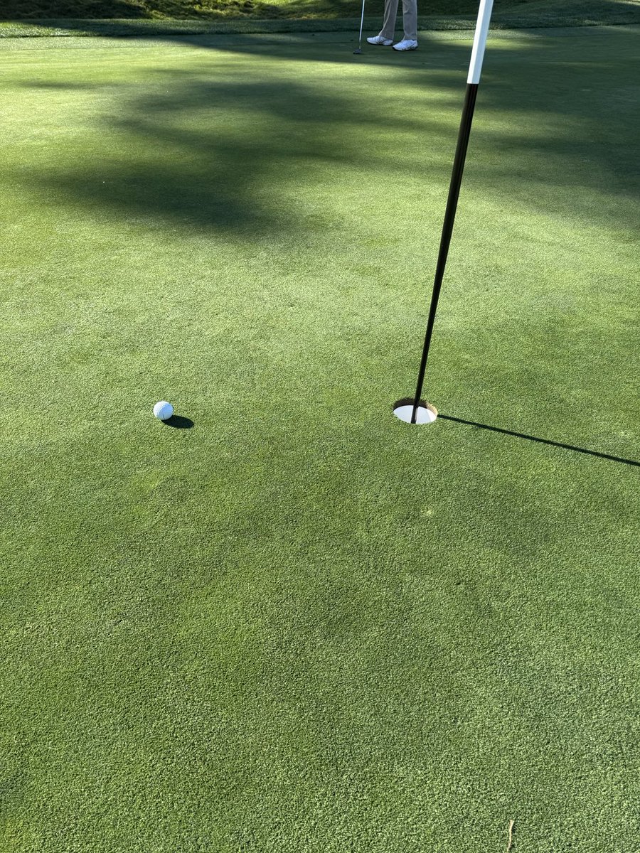 glorifieddonkey tweet media