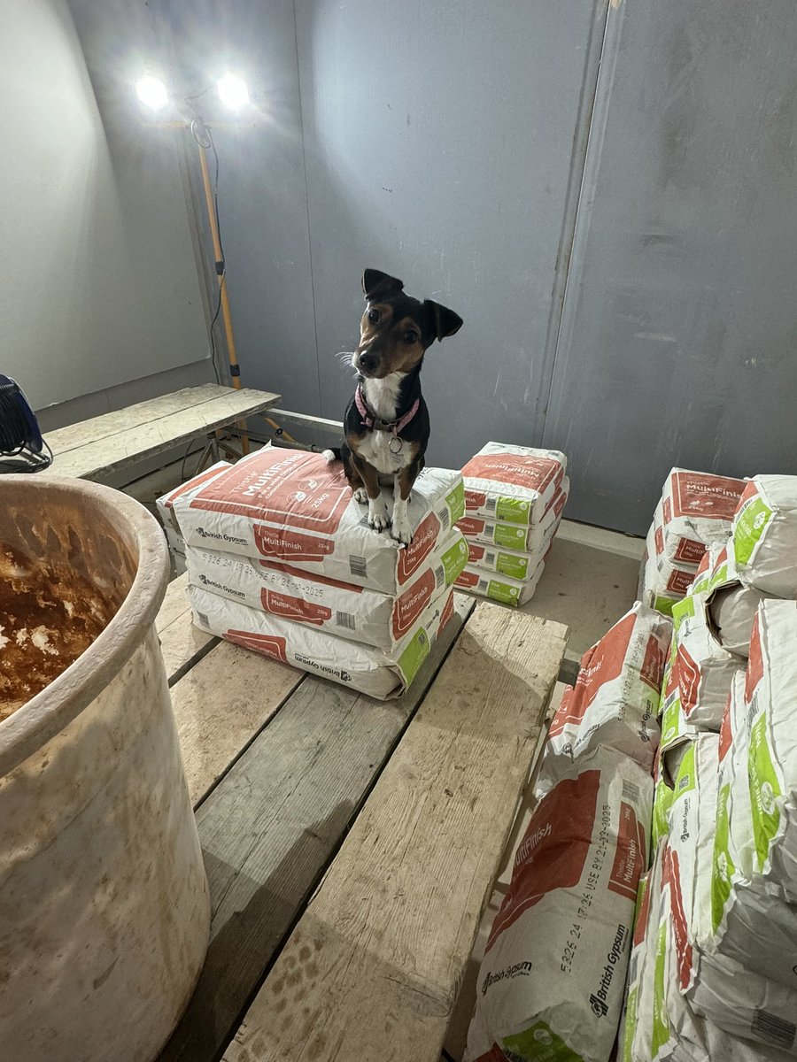 Big lid and a few walls today on me own 💪🏼