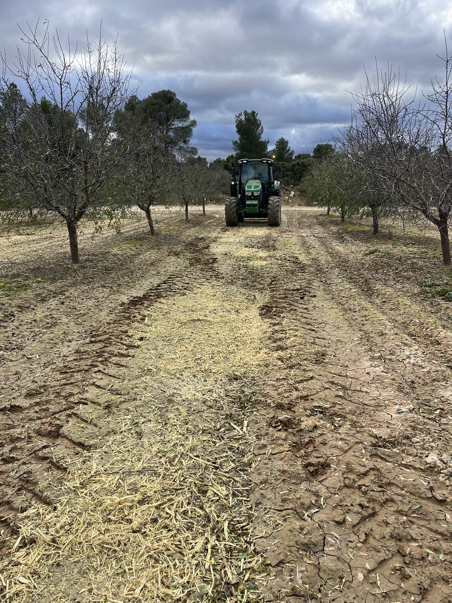 AlbertoVimar's tweet photo. Triturando la poda de los #Almendros de secano.
Después esparciremos el #Compostnatural para mejorar el suelo y alimentar la #Cubiertavegetal . https://t.co/eexHOf9iQg