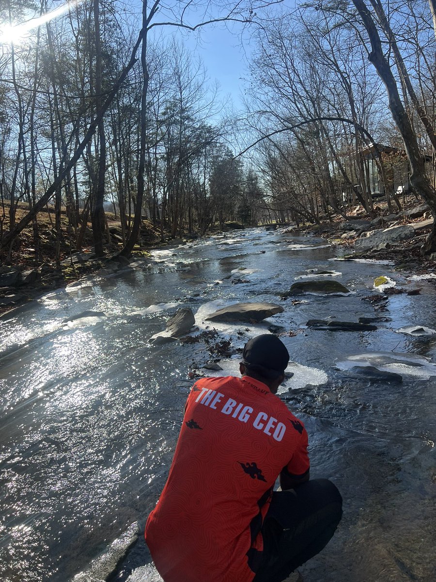 Loading... tweet media