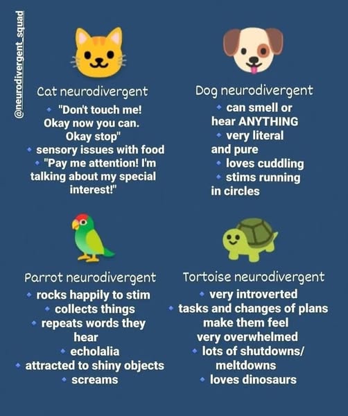 No Nonsense Neurodivergent (@nononsensend) on Twitter photo 