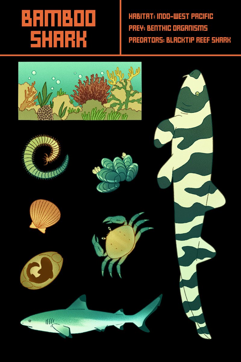 oarfish and bamboo shark sticker sheets