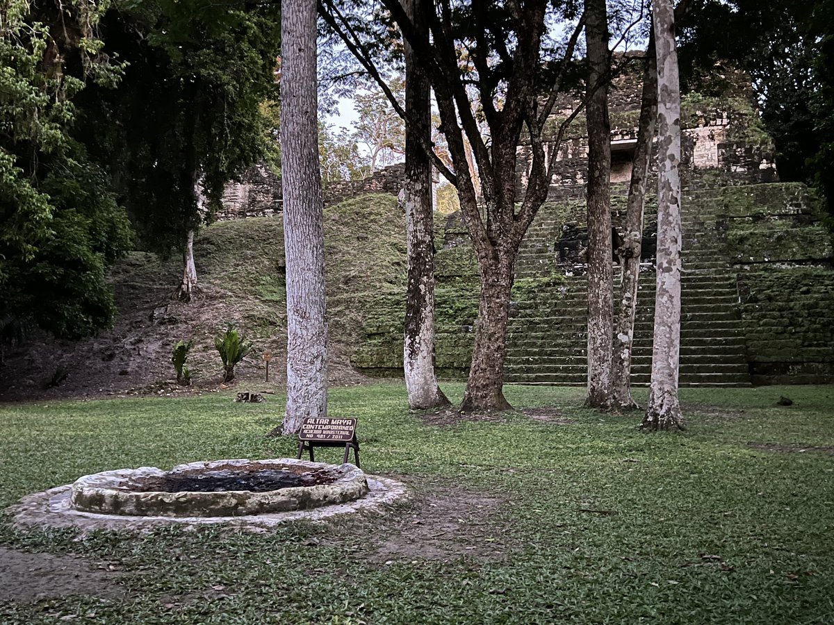 Tikal was breathtaking. Grateful we were able to visit these ancient Mayan ruins.

Temple of the Jaguar, Temples I-III (the view from the Star Wars movie!!), a young Brown Jay, and the contemporary Mayan alter used for burnings during the solstices and equinoxes.