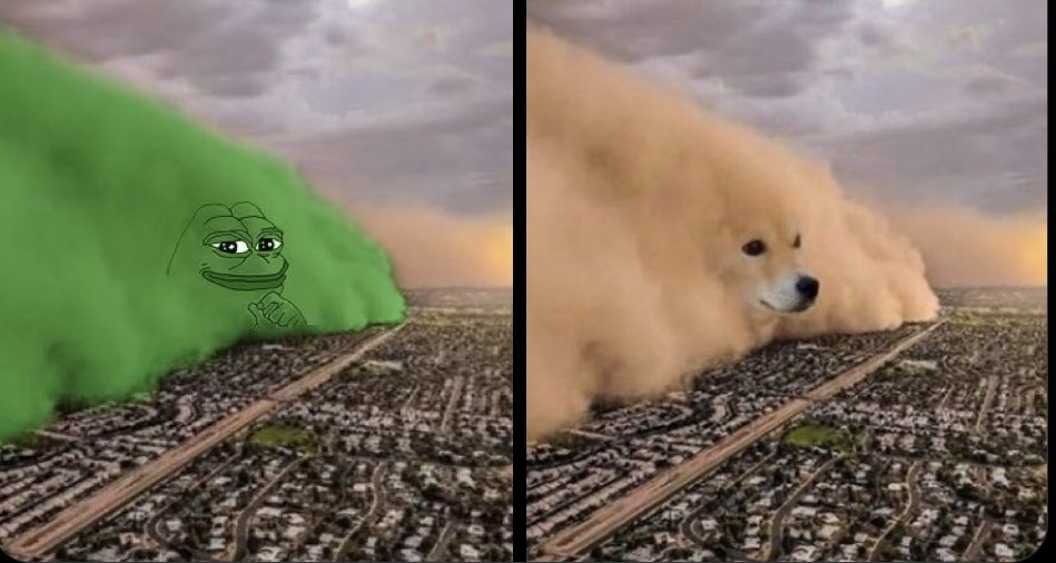 Like = Team $DOGE 🐕 

Retweet = Team $PEPE 🐸