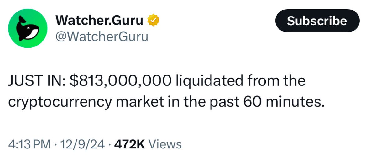 borovik tweet media