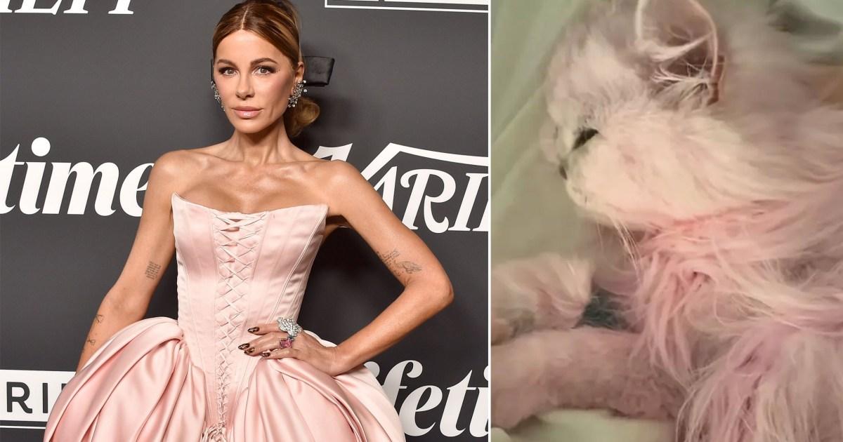 pinkemporium's tweet photo. New pro tip: Dyeing your pets pink can help them be happy!  https://t.co/NkXzeDvtQr https://t.co/Nt7ro5ec66