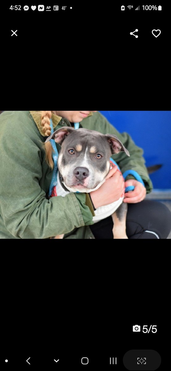 Julie🌻🐾 tweet media