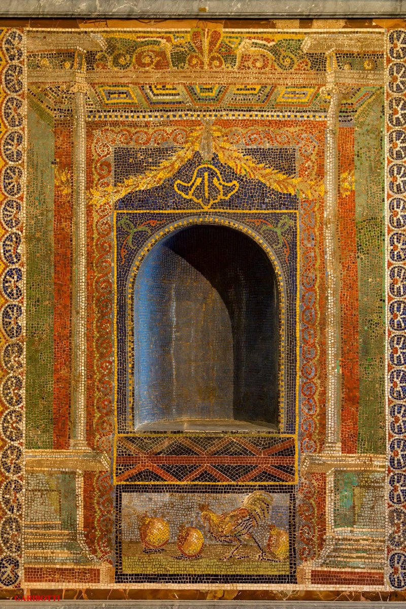 Nora Garibotti tweet media