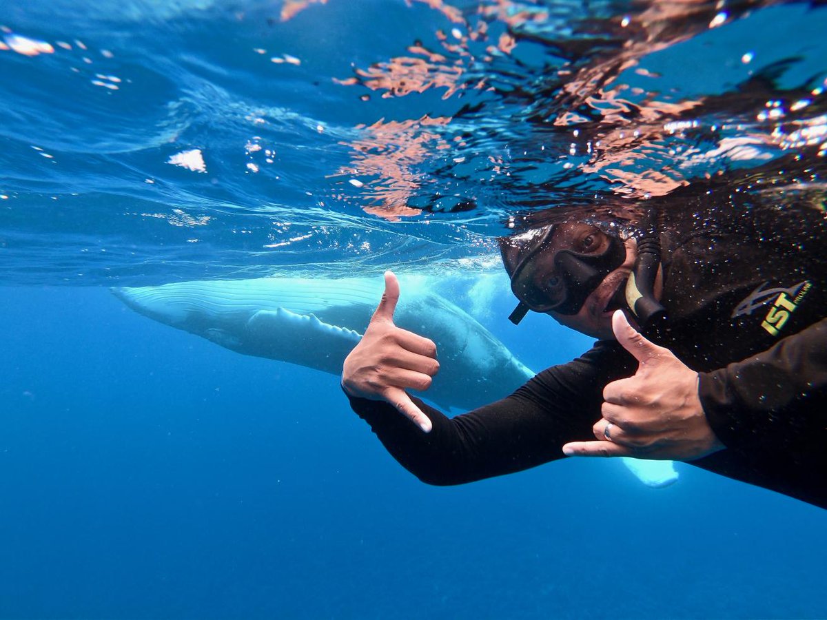 Scuba Diving Magazine (@scubadivingmag) on Twitter photo An Unforgettable Dive: More Mantas Please 🌊
PADI MSDT Cristian Moreno takes a grateful mindset with him diving. Sometimes, nature rewards him with beautiful marine life encounters.
Read Cristian's full story 👇
padi.co/az9830x9
🖊 <a href="/TiffMakesWaves/">Tiffany Duong — Writer & Explorer</a>
📸 Cristian Moreno An Unforgettable Dive: More Mantas Please 🌊
PADI MSDT Cristian Moreno takes a grateful mindset with him diving. Sometimes, nature rewards him with beautiful marine life encounters.
Read Cristian's full story 👇
padi.co/az9830x9
🖊 <a href="/TiffMakesWaves/">Tiffany Duong — Writer & Explorer</a>
📸 Cristian Moreno