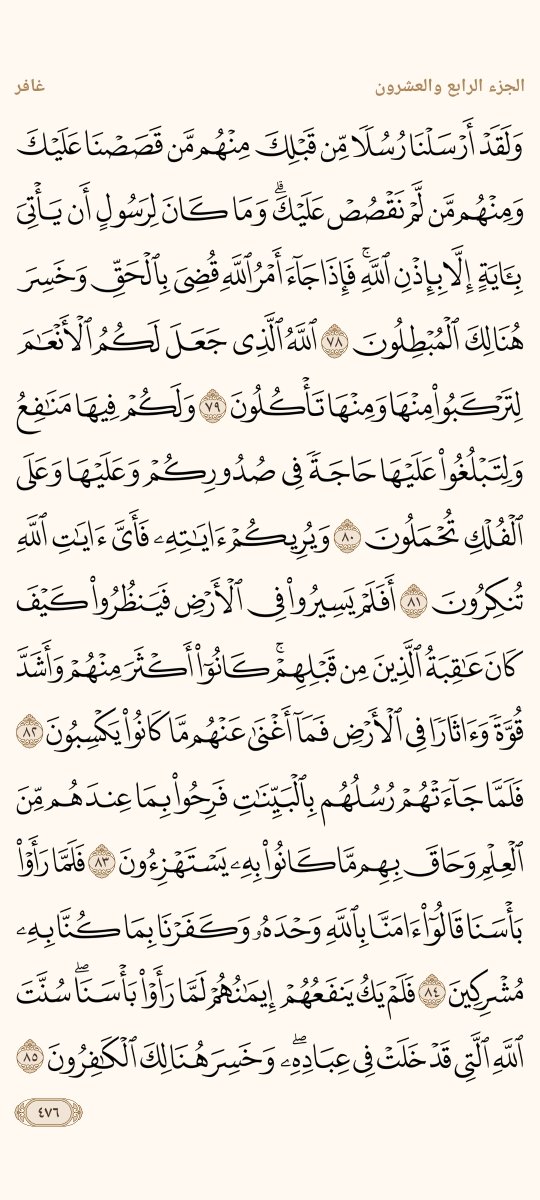 ورد الثلاثاء