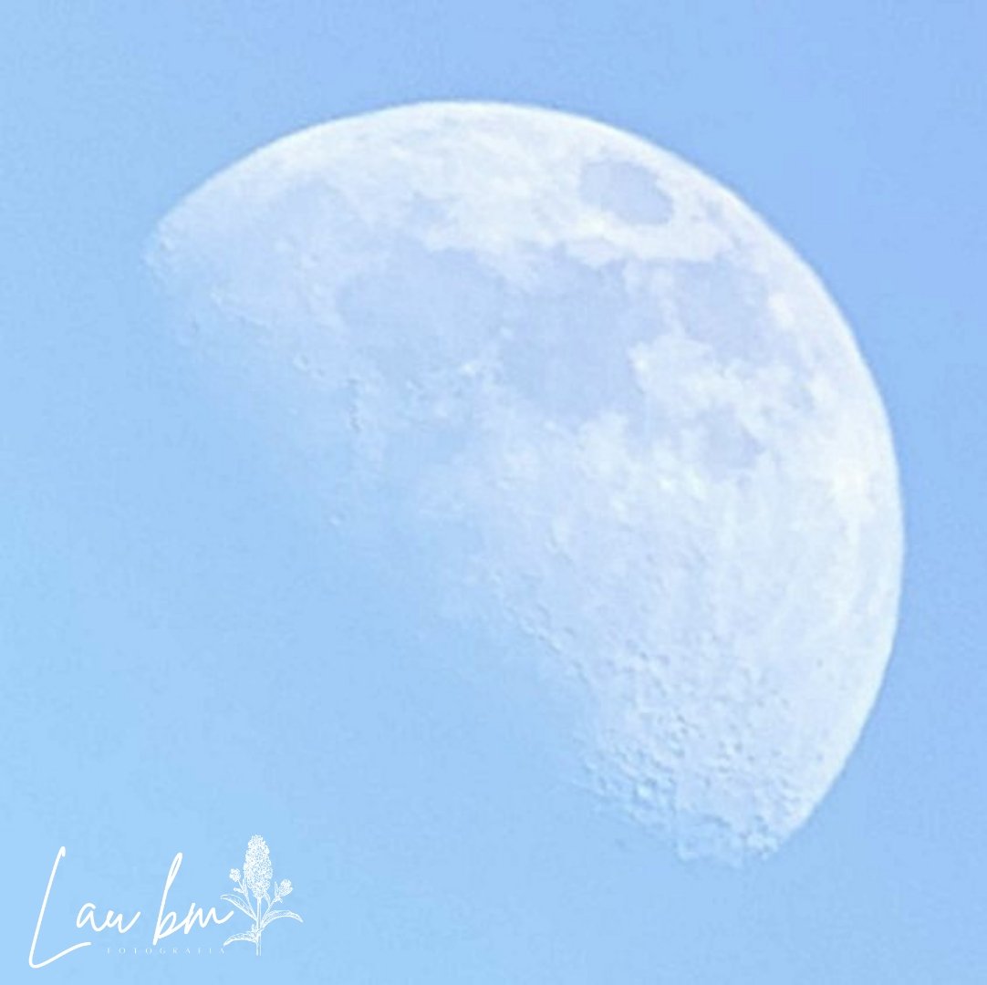 laubm1990's tweet photo. • GIBOSA CRECIENTE • 🌓✨
| 09 de Diciembre de 2024 |
La palabra gibosa proviene del latín gibbōsus, que significa "jorobado".

Gibosa creciente de día a 364,072.01 km. ubicada cerca de la Constelación de Pisces. ♓
Hora: 03:50pm.
Fecha: 09/12/2024
#luna #moon #lunacreciente https://t.co/jk4AHT3JH4