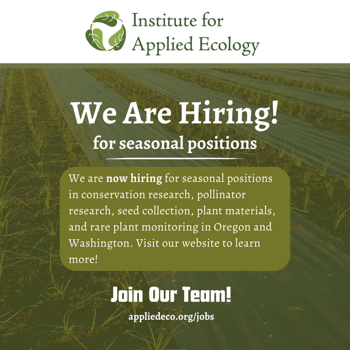 We are HIRING for seasonal positions in conservation research, seed collection, plant materials, pollinator research, and rare plant plants monitoring in Oregon and Washington! Applications are due Sunday, Jan. 5, 2025. Visit our website at appliedeco.org/jobs to learn more!