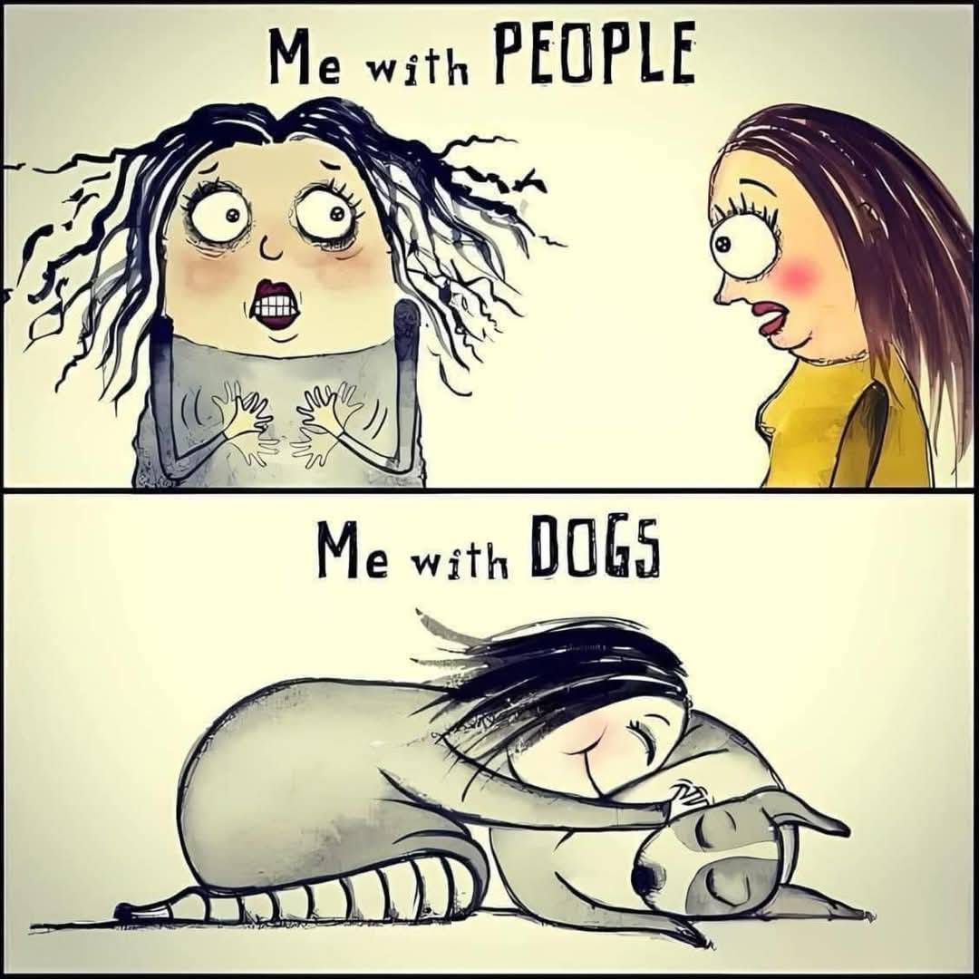 HeckinGoodDogs tweet picture