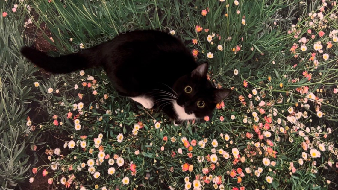 何回見ても可愛い🫶