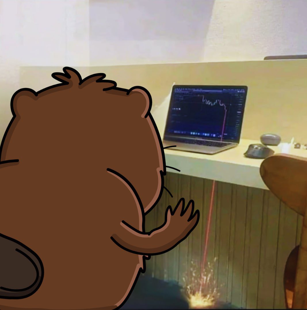 Pepiamin Pincu tweet media