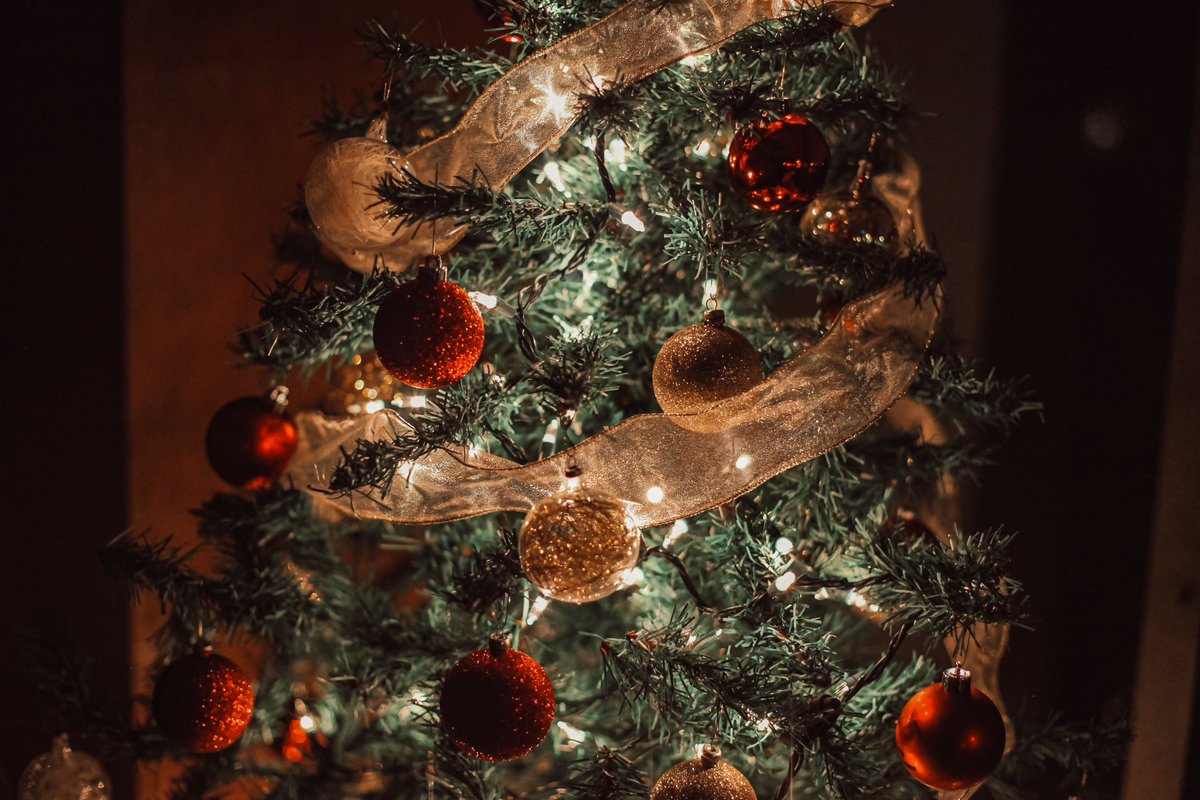 Carleone_lr's tweet photo. Descubre la historia detrás de este símbolo navideño que une generaciones y nos recuerda la importancia de celebrar en familia🎄✨.

👉 Lee más sobre esta hermosa tradición y déjate envolver por el espíritu navideño: https://t.co/KAZObQXWlK

#EspírituNavideño #ÁrbolDeNavidad https://t.co/FB7362PlKg
