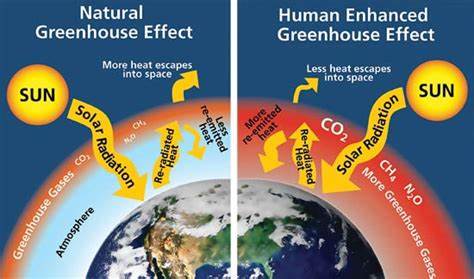 JovanHPulitzer's tweet photo. 7 PM CST - Join The Freaky Stream! - Man Arrested For "Importing Greenhouse Gases" REALLY? Government NEEDS To Justify Its Existence! #JovanHuttonPulitzer #CutTheCrapShow #ClimateChange #ClimateWars #GlobalWarming https://t.co/xNjKPMLWju https://t.co/9NKFhNOmeS