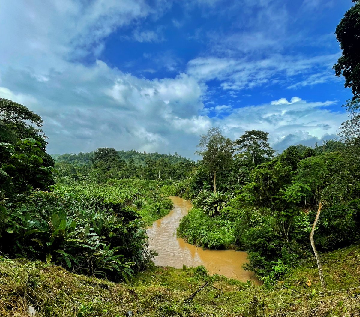 Nick Pettigrew tweet media