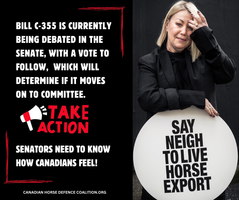 defendhorsescan's tweet photo. ⚠️Horses need your help NOW!
Ask senators to #supportbillc355.
Huge thanks to @jannarden and the #Horseshit team who have made contacting senators even easier for you - with 2 options to make your voice heard!
https://t.co/KrEqq7YWct https://t.co/sdTXDoO1vt