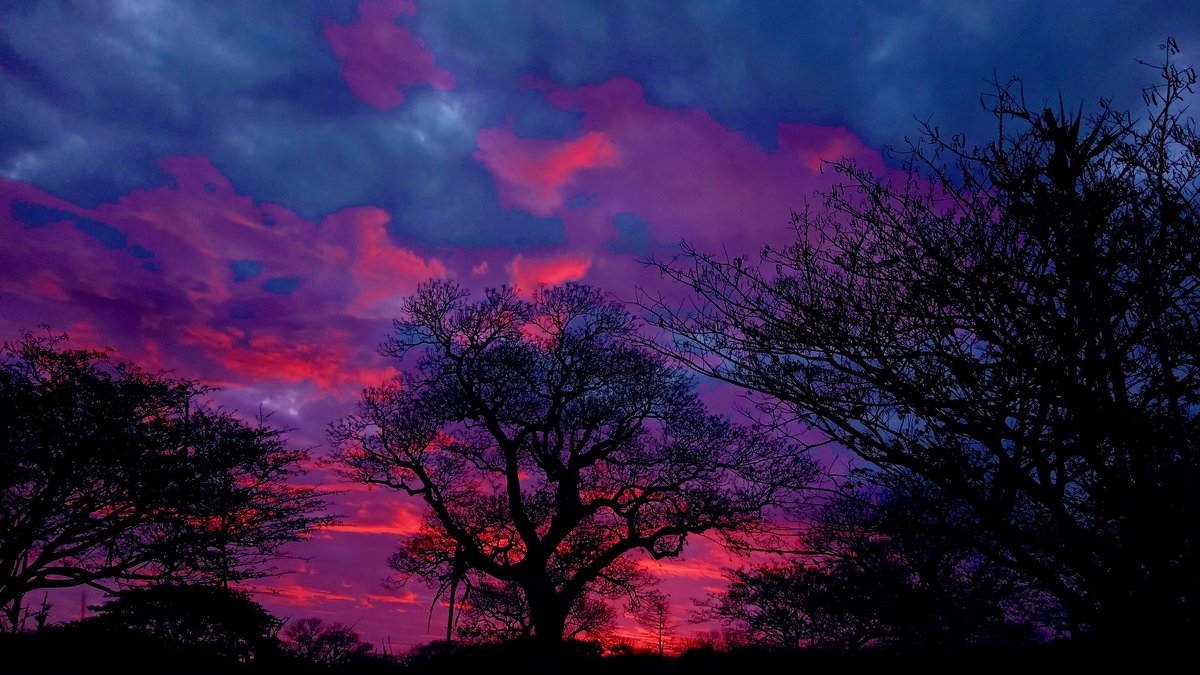 La preuve qu’une fin peut être belle ❤️
#newcalphotography #newcalnorth #vooknky 🇳🇨