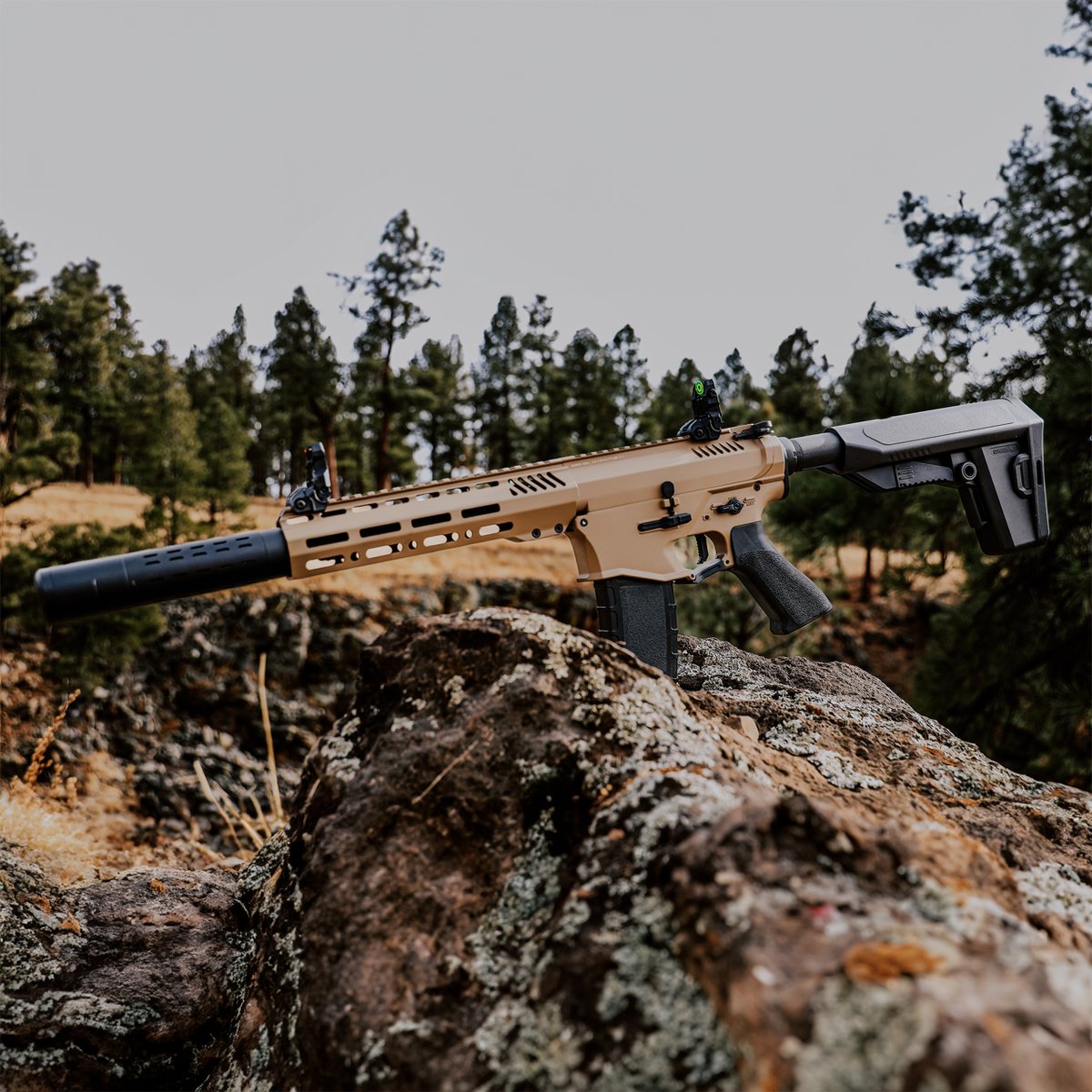BarraAirguns's tweet photo. What’s your favorite feature of this electric beast? ⚡️ #400e #BarraAirguns #FullAuto https://t.co/2TRASB8Myv