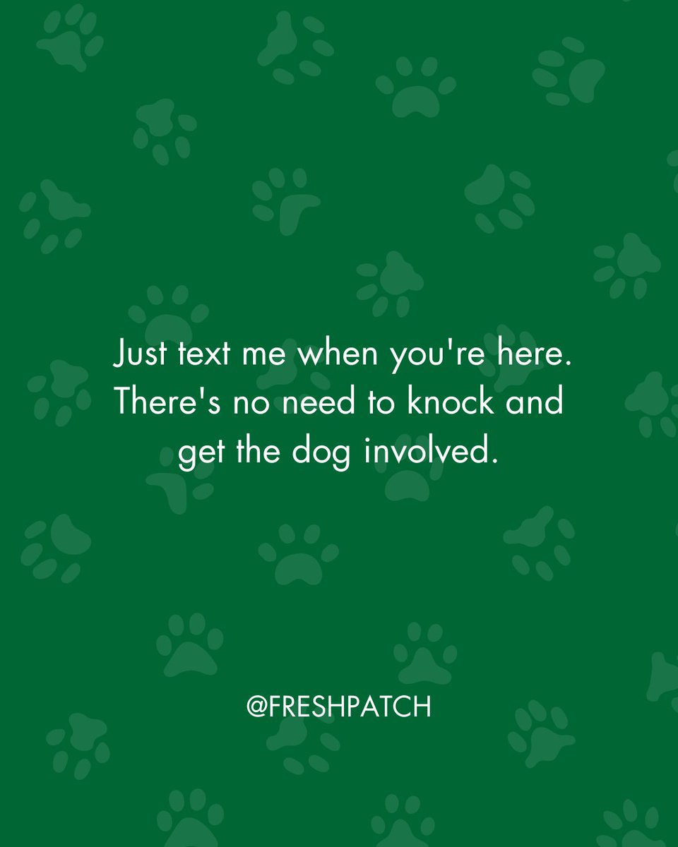FreshPatch's tweet image. Whatever you do just don't ring the doorbell! ⁠
⁠
#FreshPatch #DogParentProblems #DogMom #Dogs
