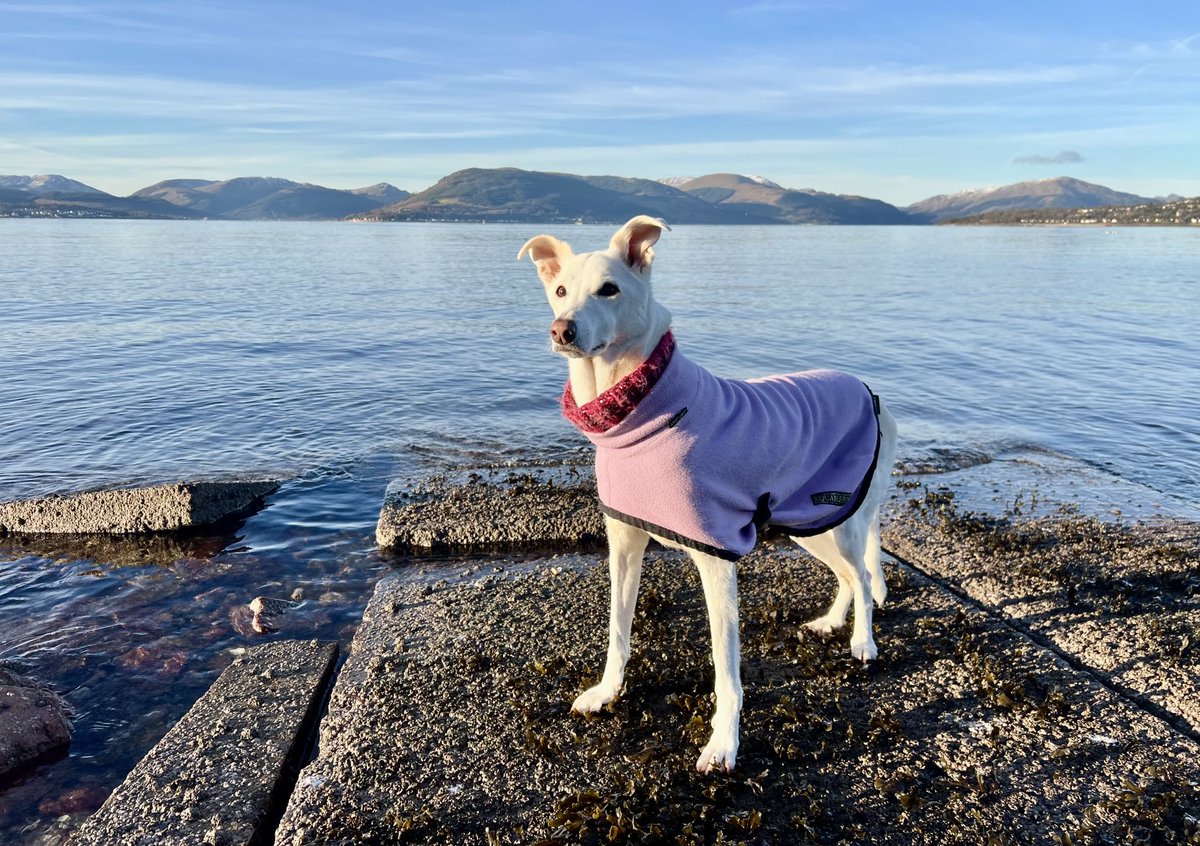 Beautiful crisp blue day today!