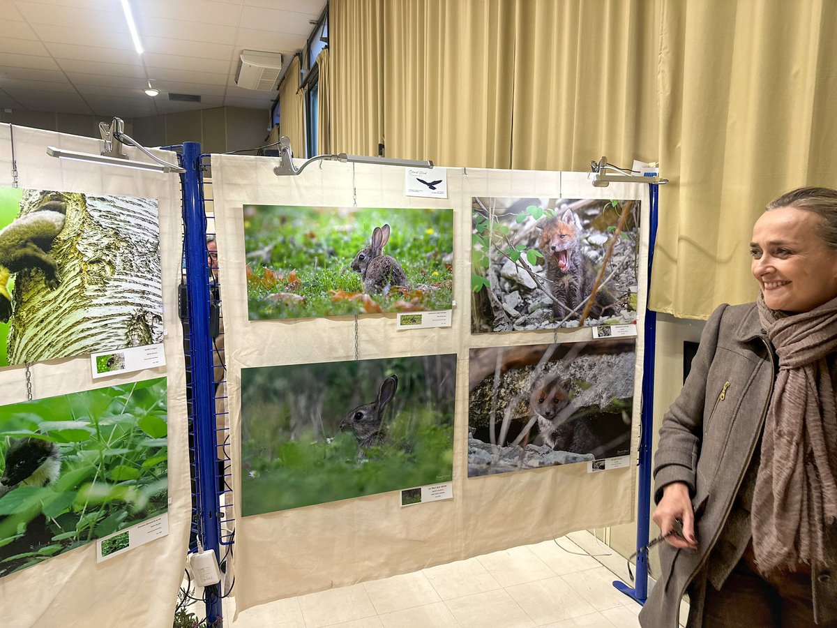 AnneSicard1's tweet photo. 📸 Retour en images sur la 8ème édition de l’exposition « La Photographie dans tous ses états » à #Ennery, organisé par Didier Massé, Directeur Artistique, et Matthieu Laurent, Co-Organisateur. 

Un bel événement qui a permis aux photographes de partager leurs œuvres. Ce moment convivial a offert aux visiteurs l’occasion de découvrir des œuvres inspirantes et d’échanger avec les artistes dans une ambiance chaleureuse et enrichissante 🤝.
