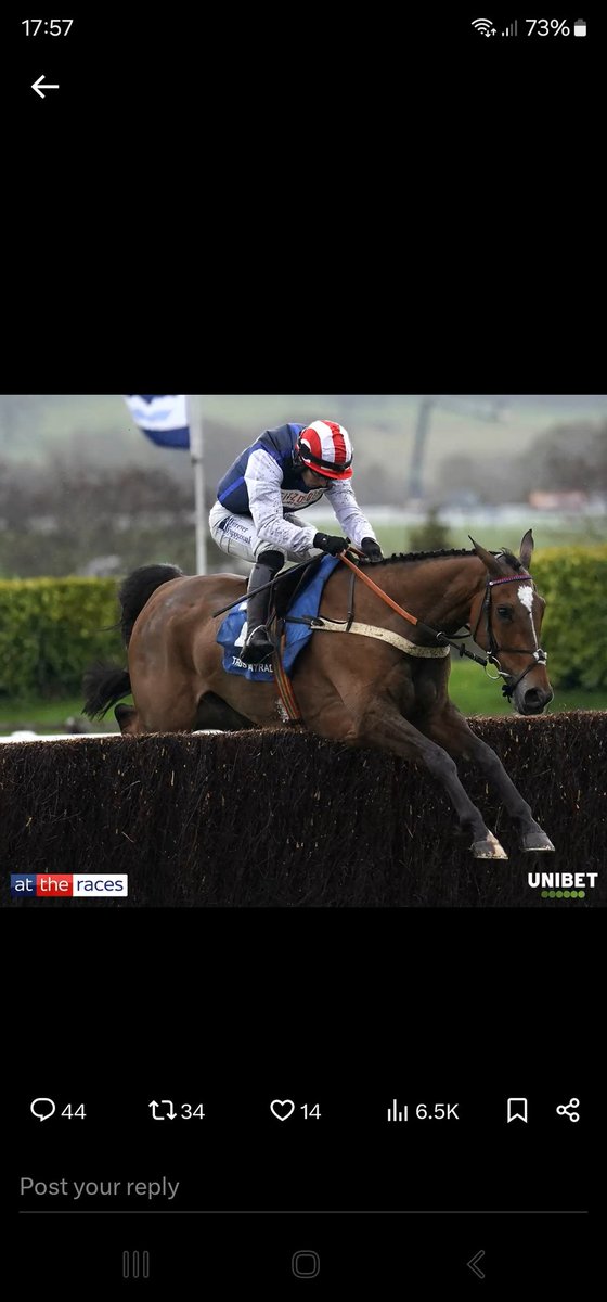paul_offer's tweet photo. @AtTheRaces @UnibetRacing https://t.co/a2KhvYk06W